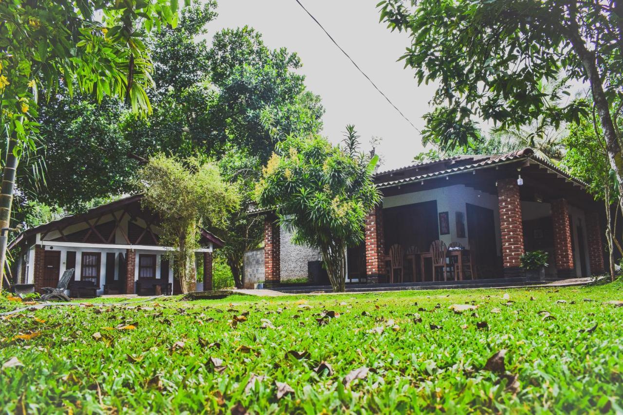 Green Cottage อนุราธปุระ ภายนอก รูปภาพ