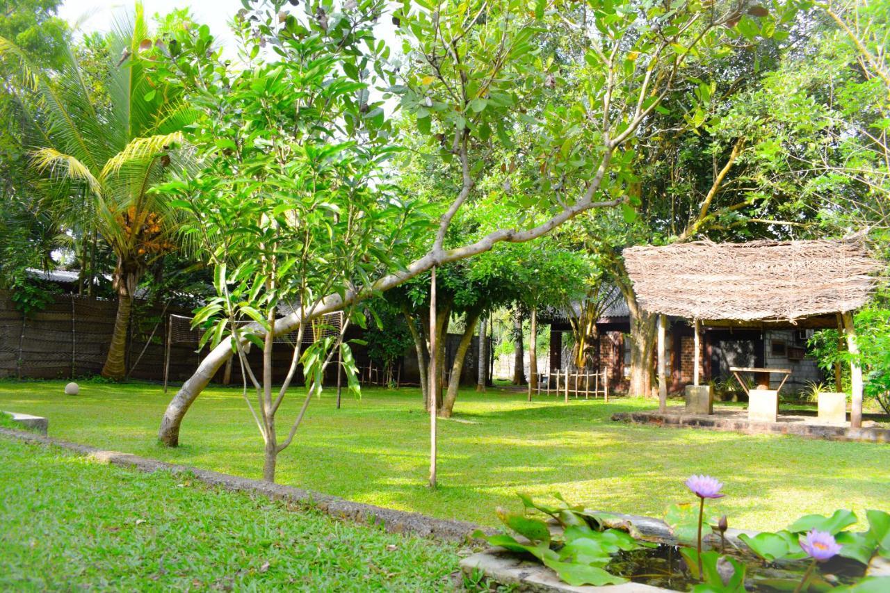 Green Cottage อนุราธปุระ ภายนอก รูปภาพ